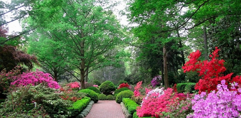 National Arboretum